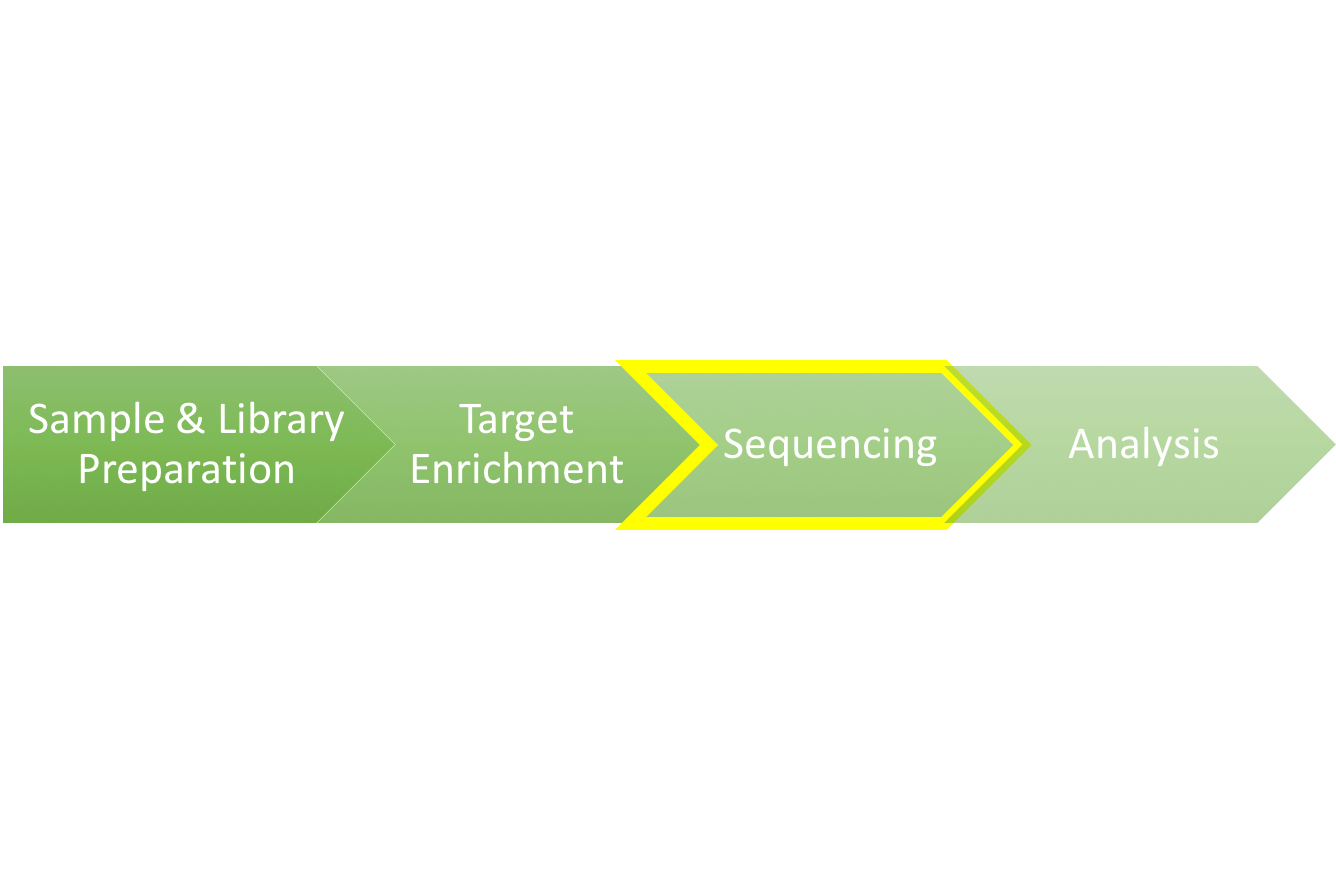 Sequencing workflow image
