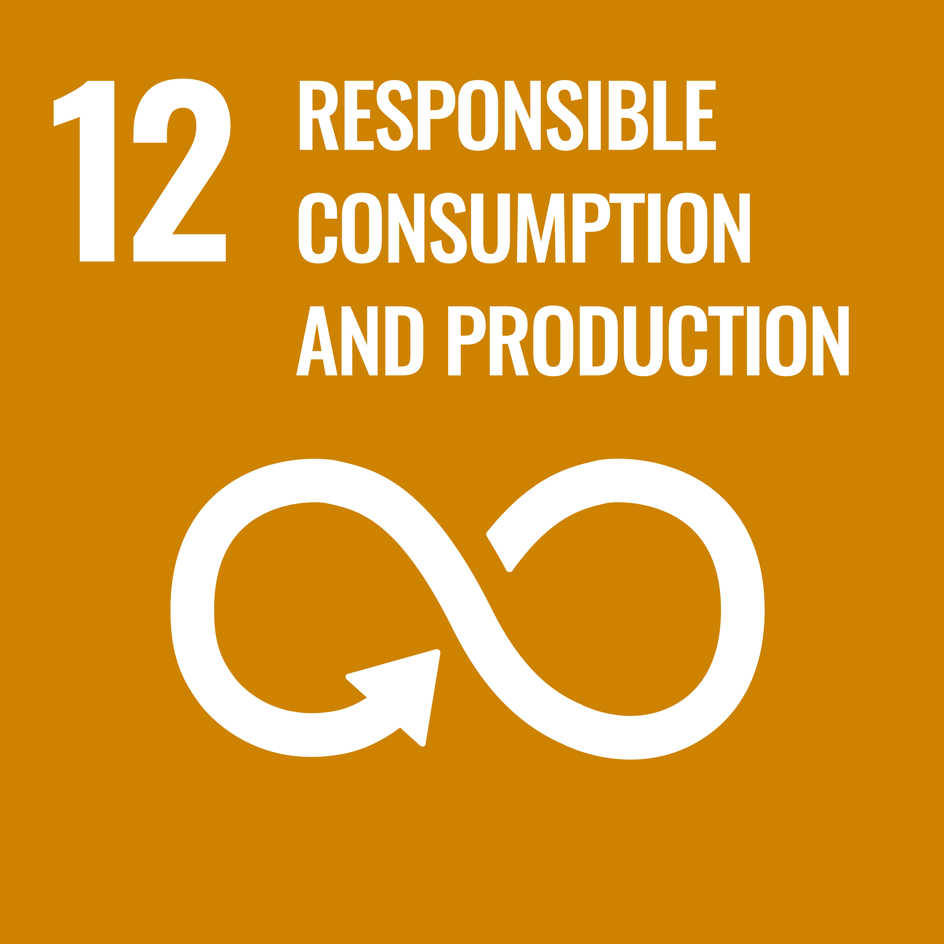 Responsible Consumption and Production Logo