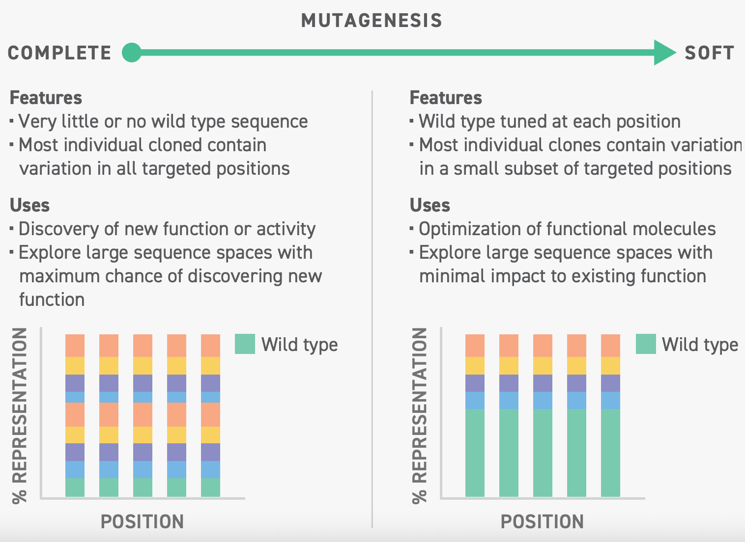 Soft Mutagenesis vs Complete Mutagenesis What is soft mutagenesis? Soft mutagenesis is a technique that allows researchers to enhance desirable functions in a protein. Unlike complete mutagenesis wherein libraries are designed to maximize the number of mutations in each sequence, a soft mutagenic library is typically designed to ensure that each sequence is nearly identical to the parent sequence, save for a few mutations.