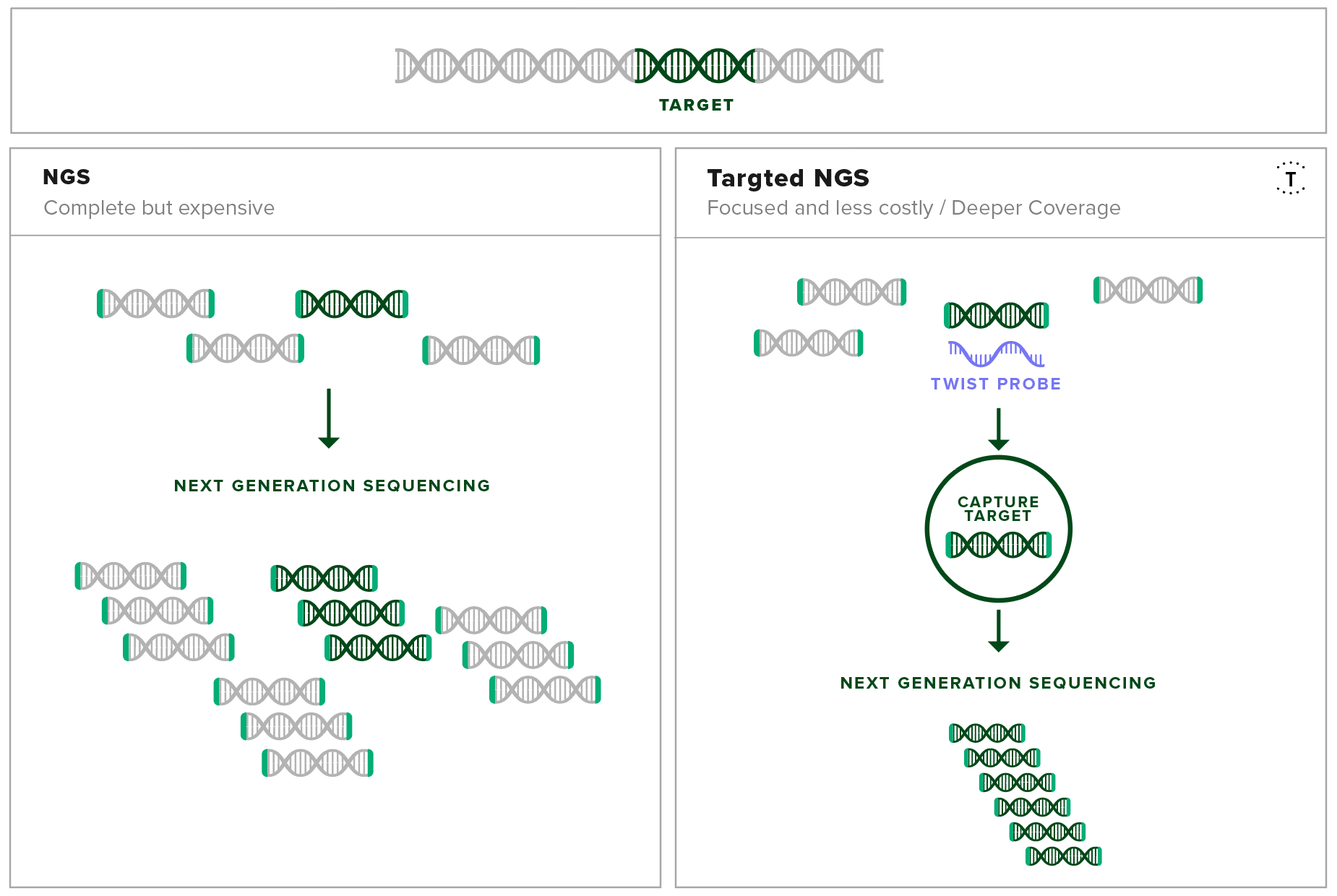 Target Capture Diagram For Infectious Disease Testing Target Capture Diagram For Infectious Disease Testing