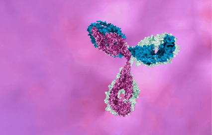 Lesen Sie unser neues E-Book zur Antikörperidentifizierung und <br>-entwicklung.