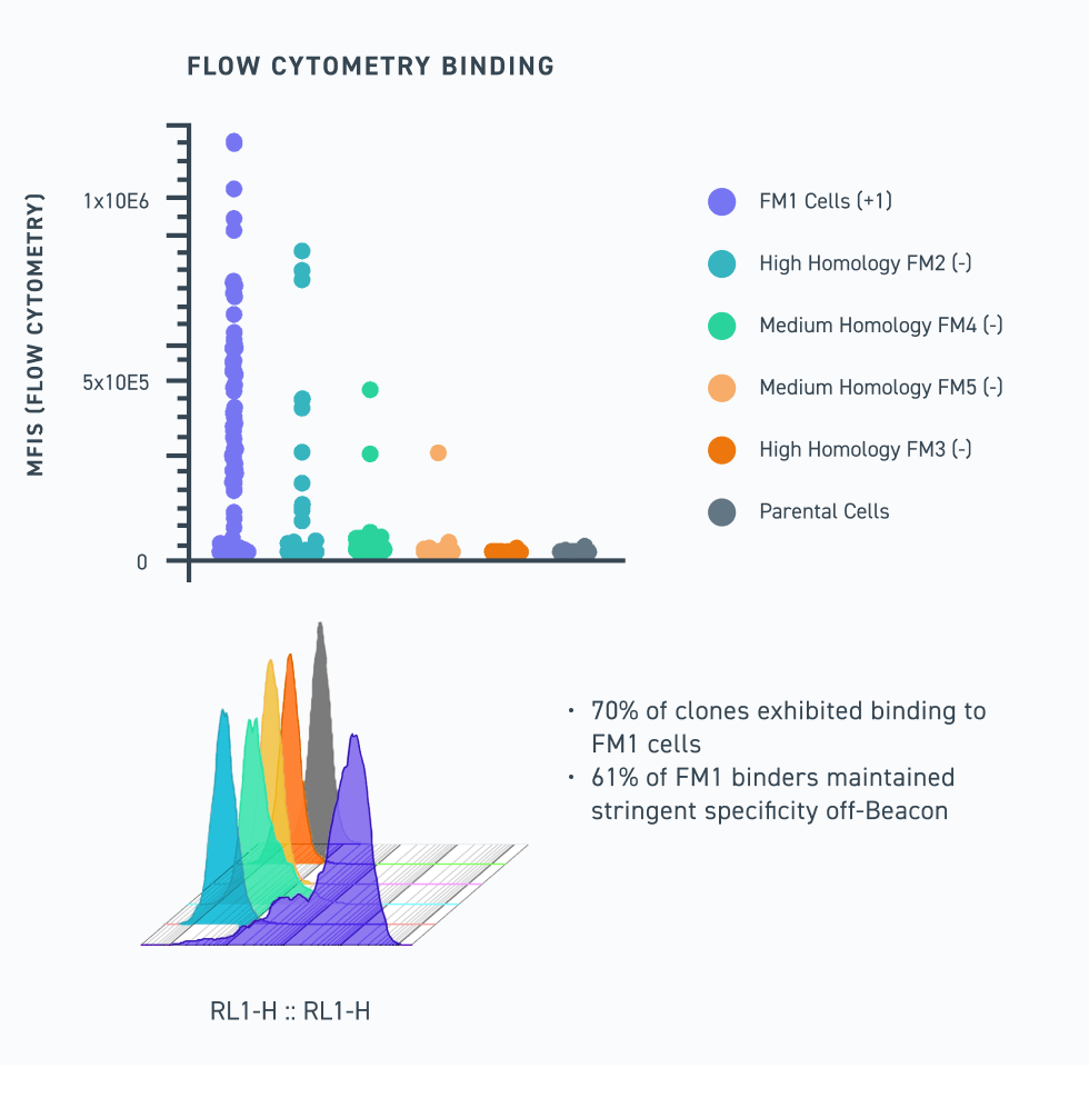 flow cytometry binding