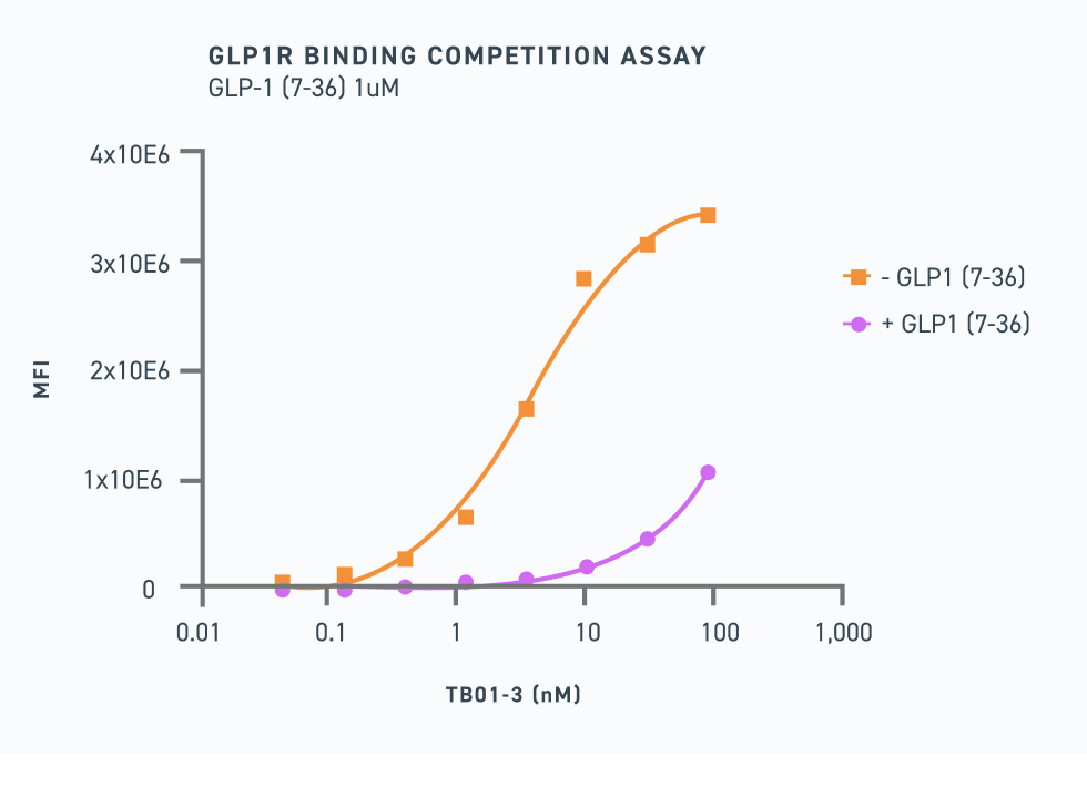 GLP1R Binding Competition Assay