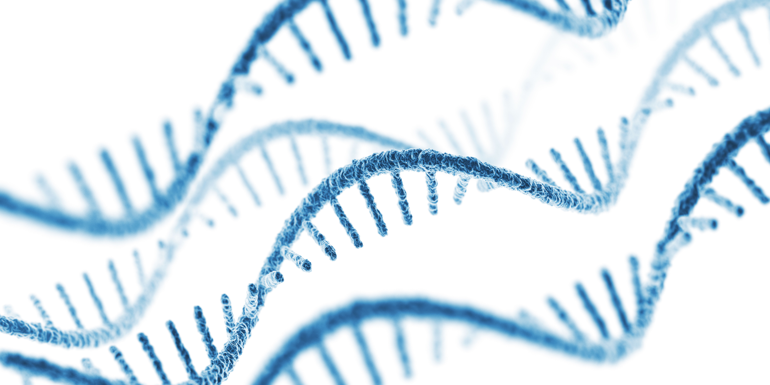 Render of a single-armed helix with ladder-like extensions coming off of it, representing single-stranded RNA. 