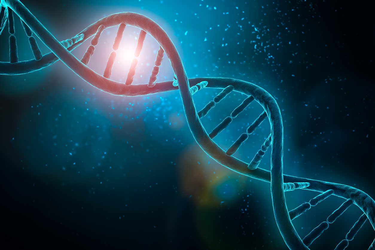 A rendered image of a DNA celix in which a portion of the helix is a different color (orange instead of blue).