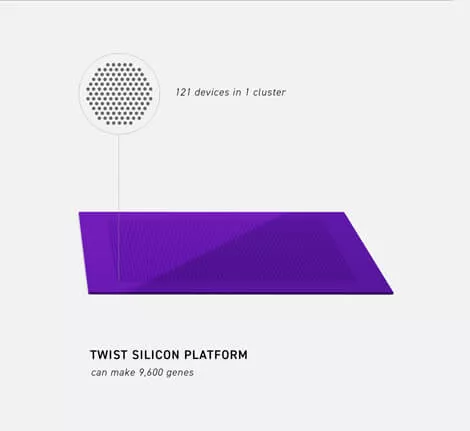 Twist Silizium-Plattform