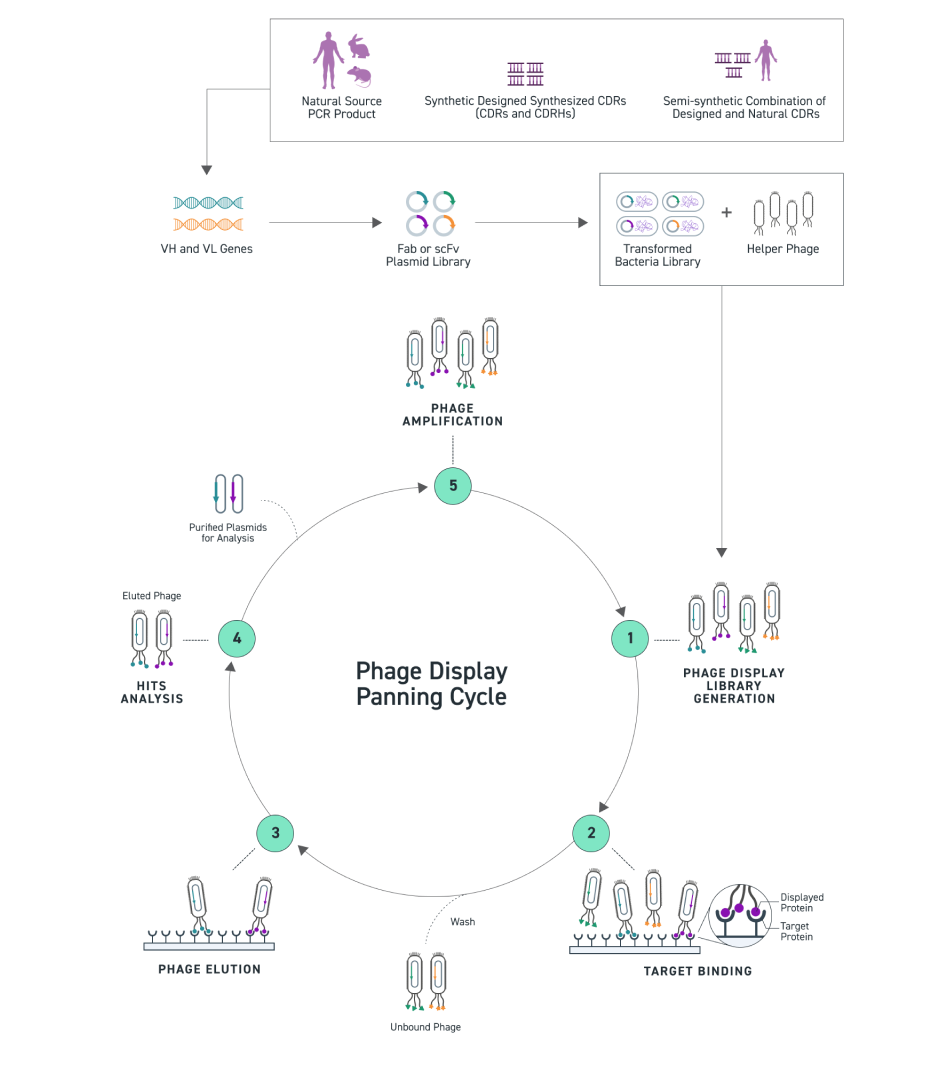 Diagramm