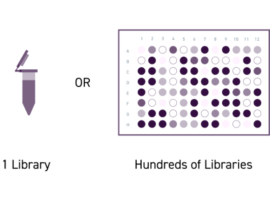 Diagramm