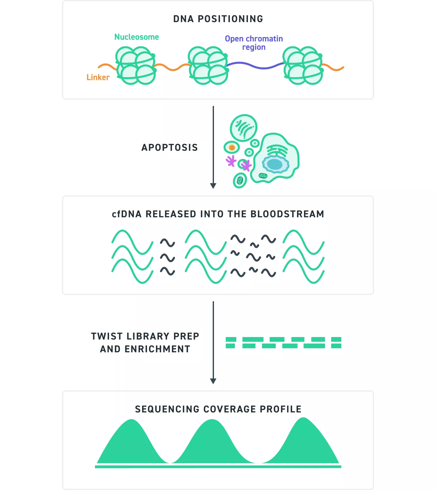 NGS Methylation UMI