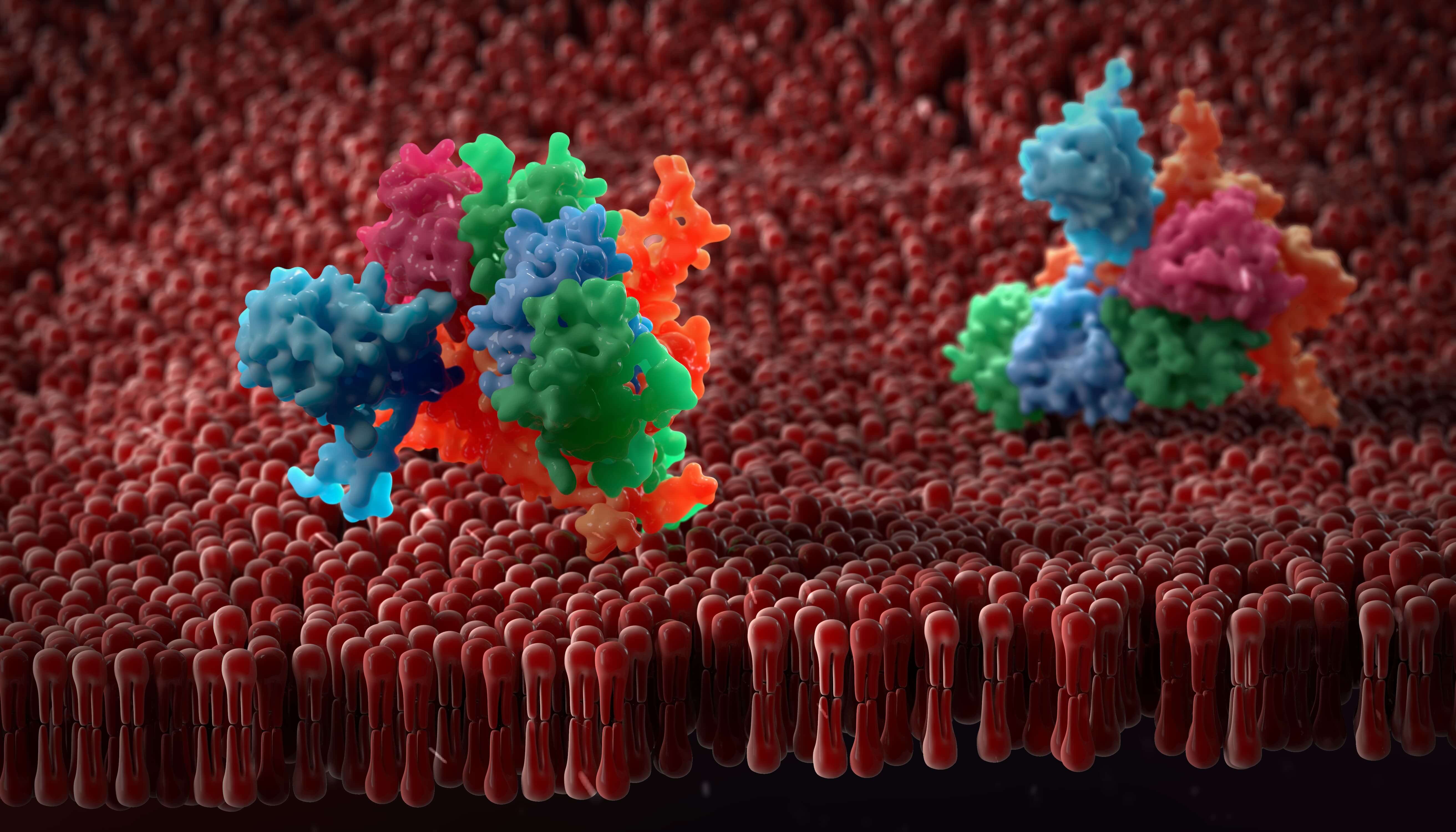 Tech Showcase: Improving Membrane Protein Expression