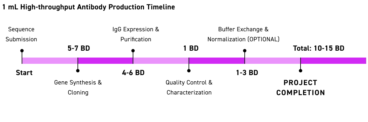 high-throughput antibody production timeline