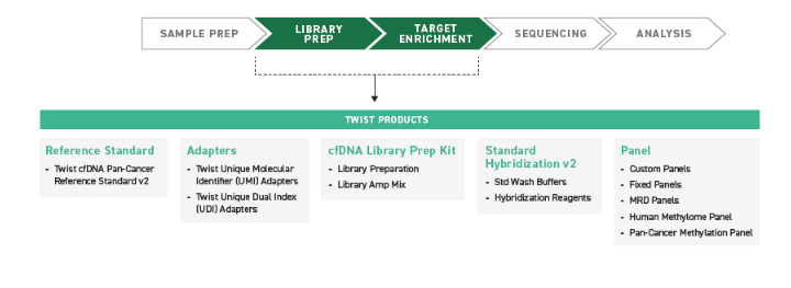 High level workflow for ctDNA analyses annotated with various Twist products, such as library preparation and target enrichment kits. 