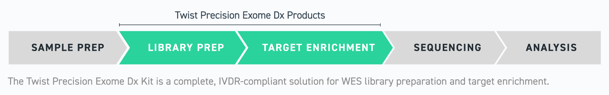 Workflow progressing from sample prep to library prep, target enrichment, sequencing, and analysis. The phases for library prep and target enrichment are highlighted, indicating that's where Twist Precision Dx products apply. 