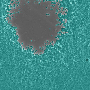 Close-up: Image using electron microscopy of enzyme degrading PET plastic (image credit: Dennis Schroeder / NREL).